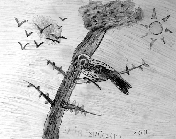 Bird_2