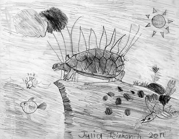 Turtle