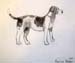 Dog_2