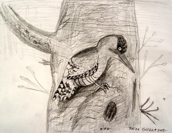 Bird