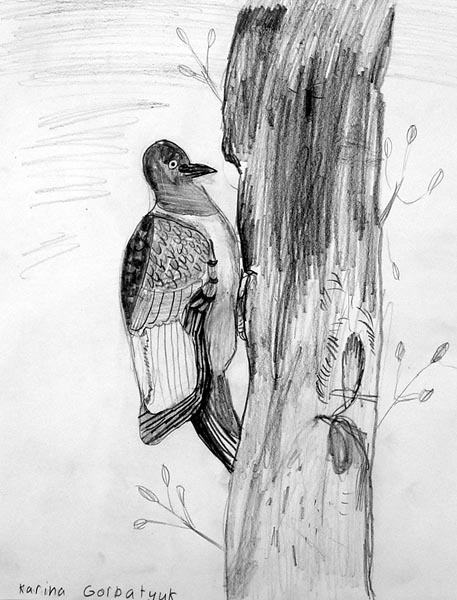 Bird_2