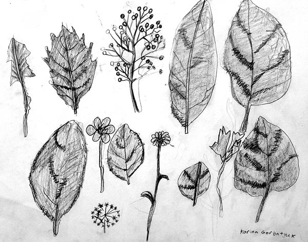 Leafs