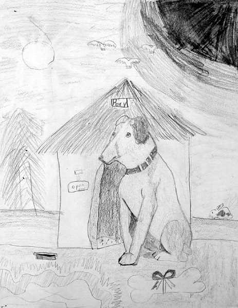 Dog
