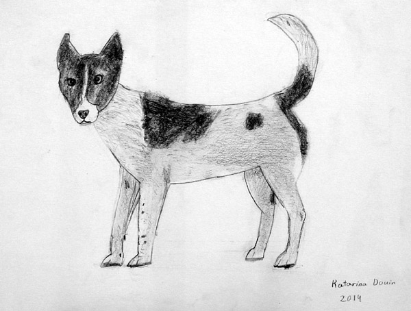 Dog_2