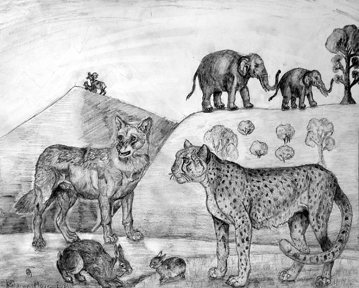 Animals_1