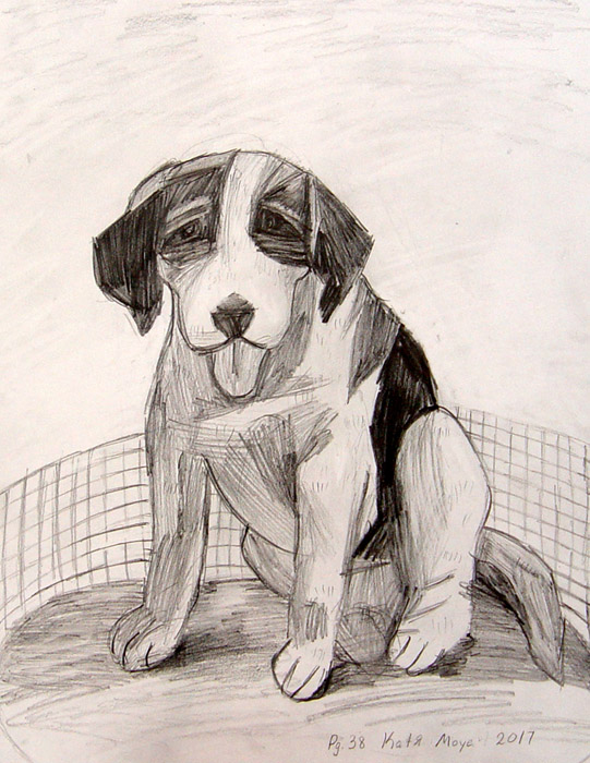 Dog