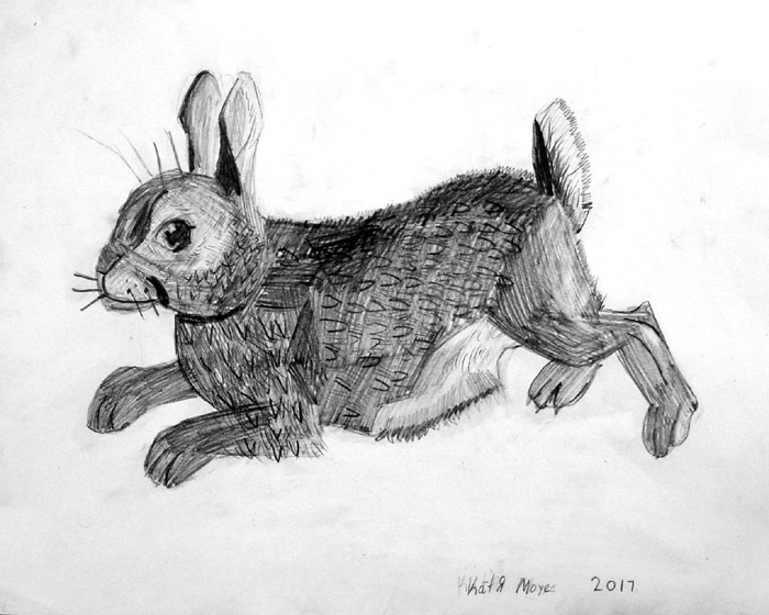 Rabbit