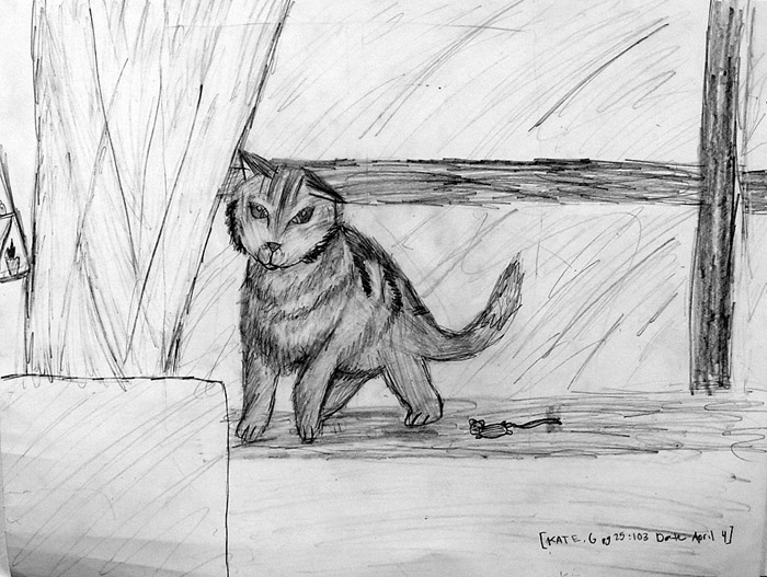 Cat
