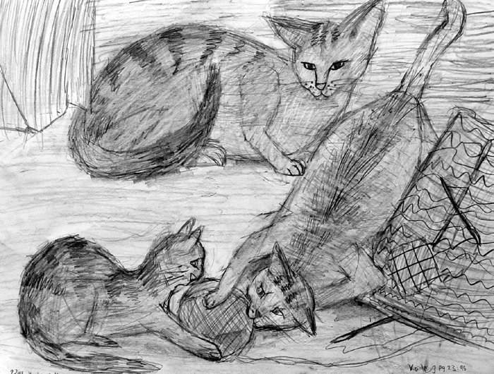 Cats