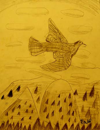 Bird