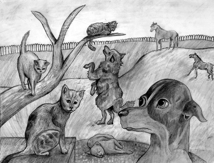 Animals_1