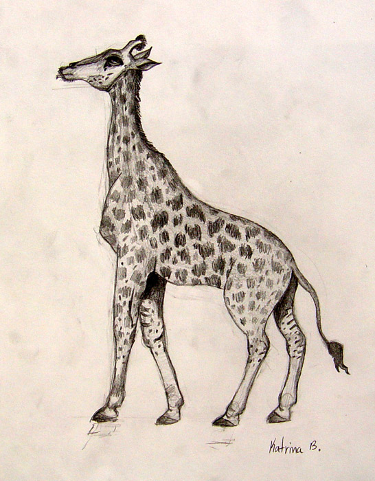 Giraffe