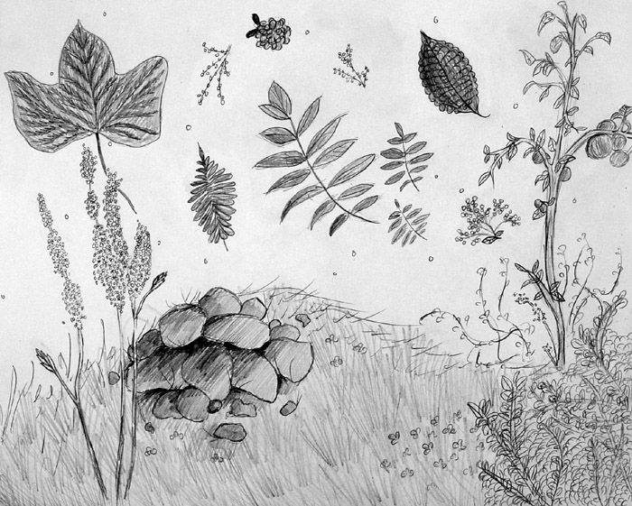 Sketches