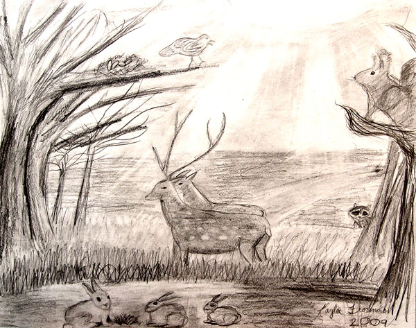 Animals_1
