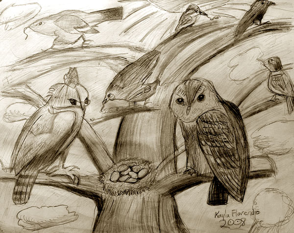 Birds