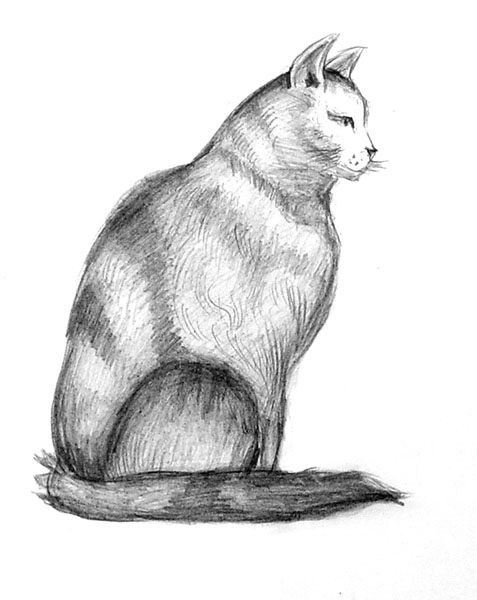 Cat-2