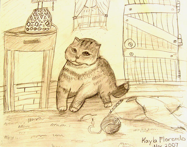 Cat