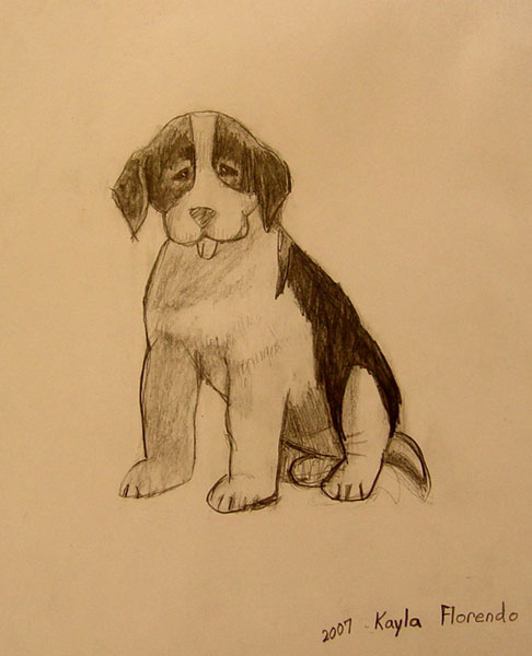 Dog