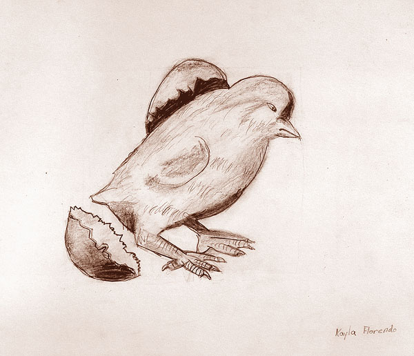 Nestling