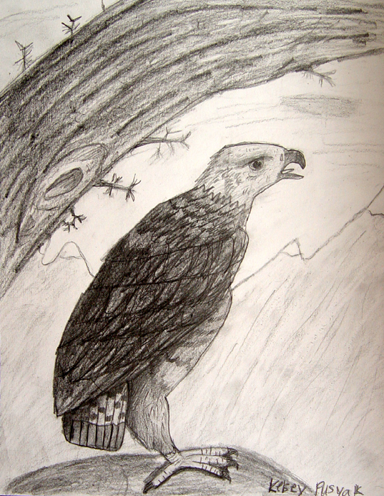 Bird_2