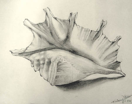 Shell
