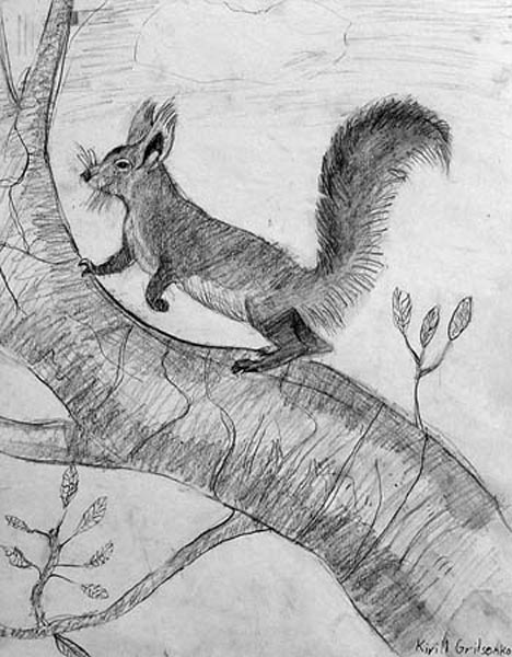 Squirrel