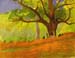 Landscape_1