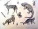 Sketches_2