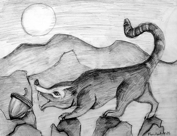 Coati