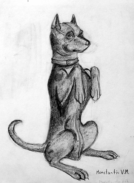 Dog