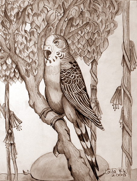 Bird