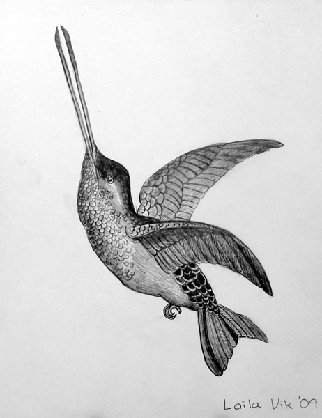 Bird_2