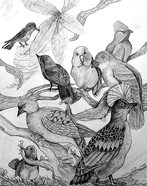 Birds