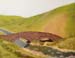 Landscape_8