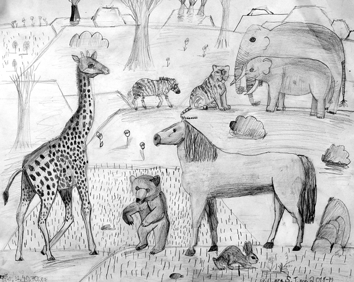 Animals_1