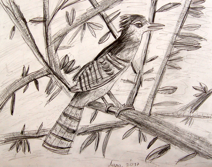 Bird_2