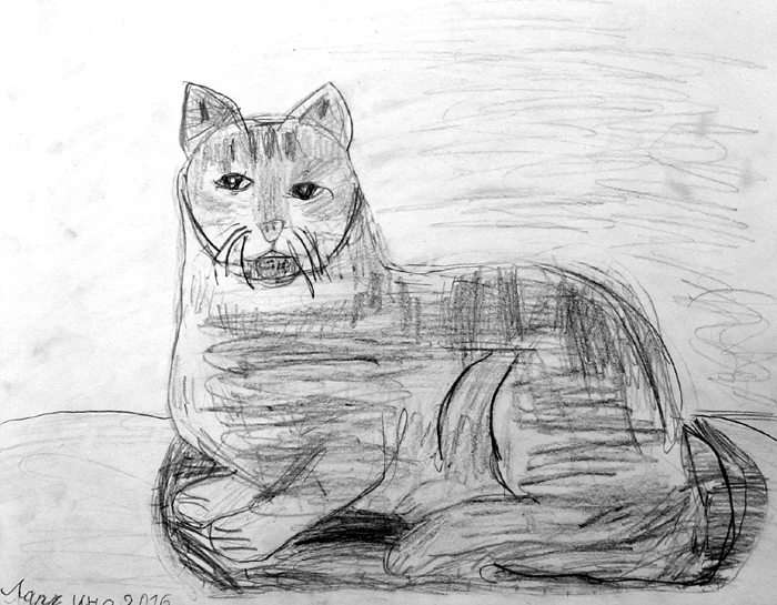 Cat