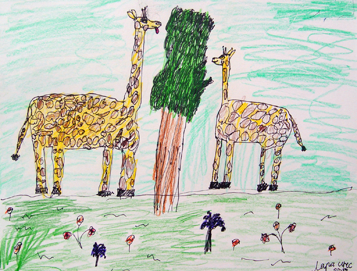 Giraffes