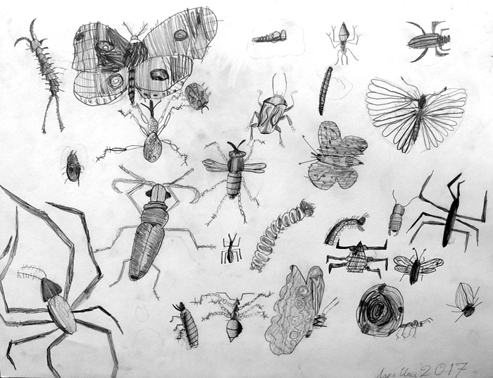 Insects