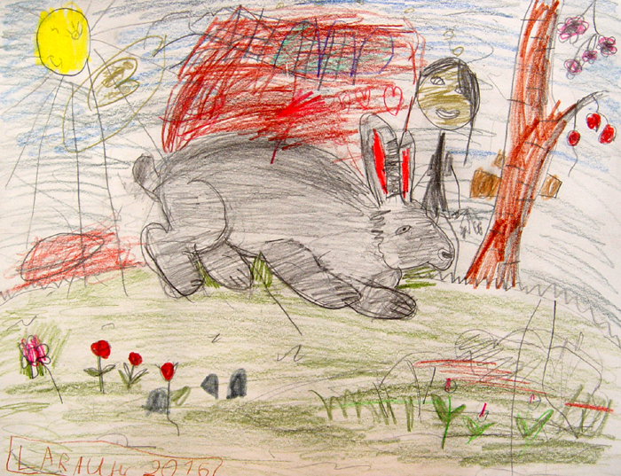 Rabbit