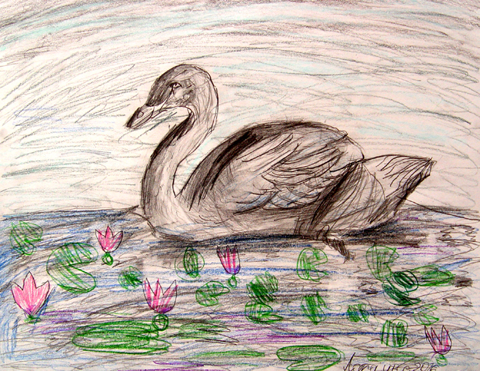 Swan