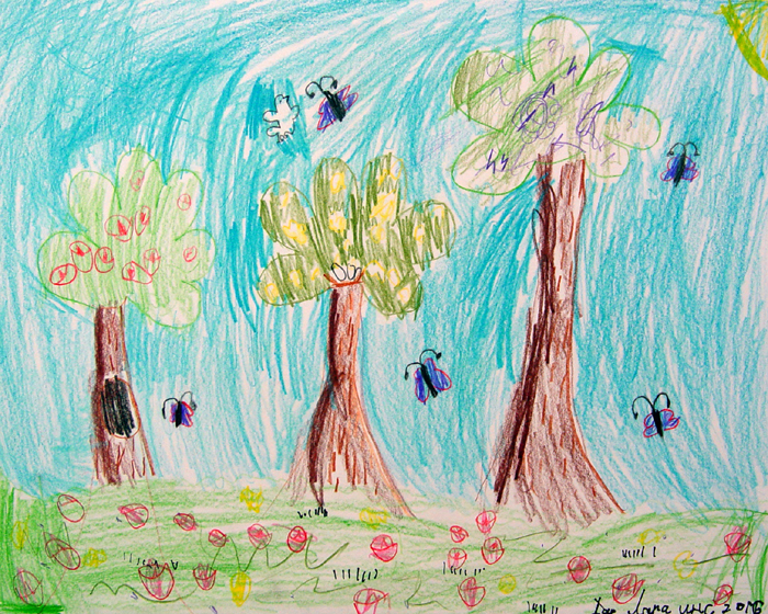 Trees
