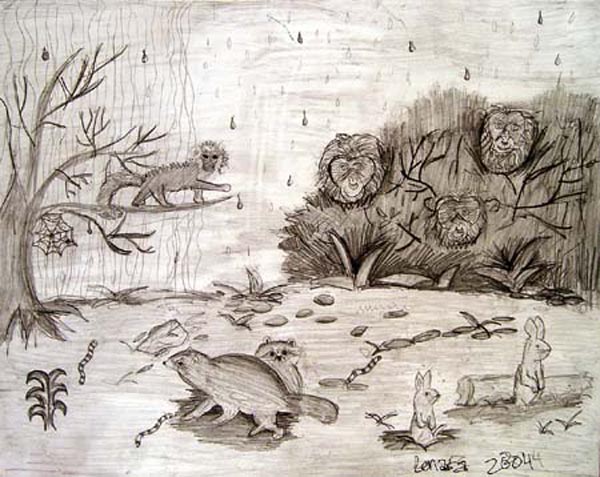 Animals
