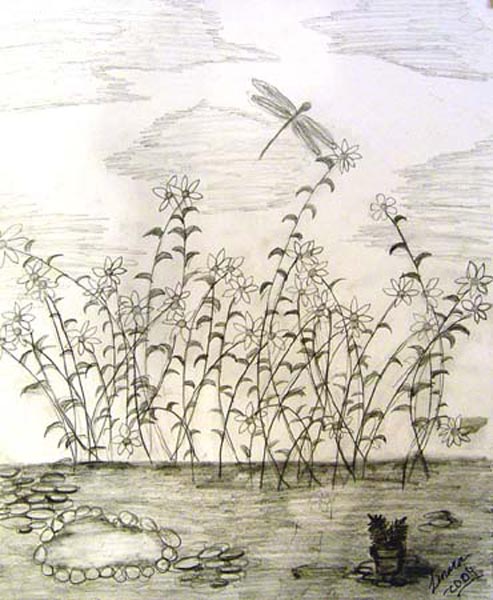 Dragon_fly
