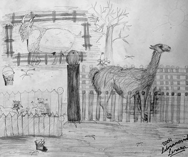 Farm