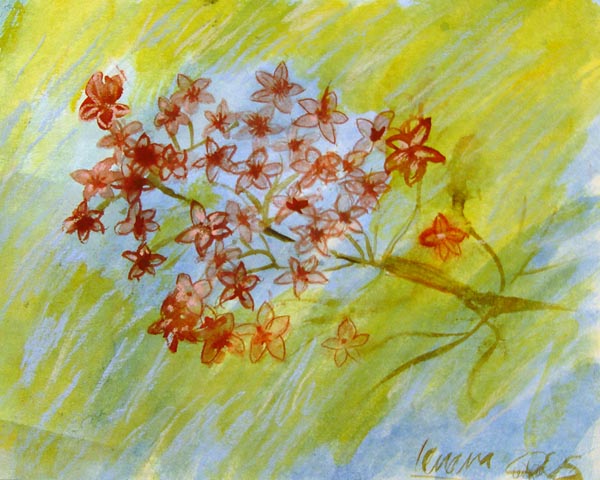 Flowers_1