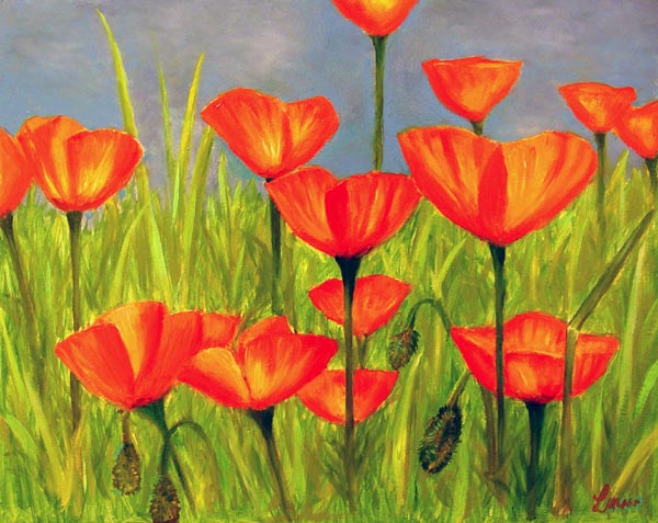 Poppies