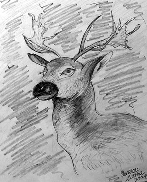 Rain_deer