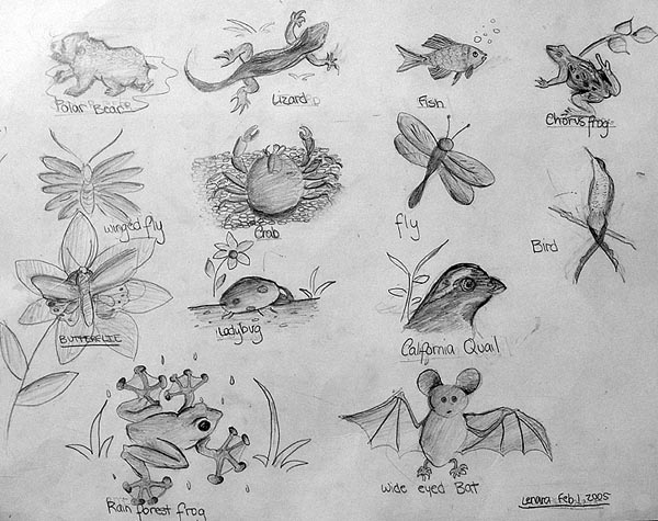 Sketches_1