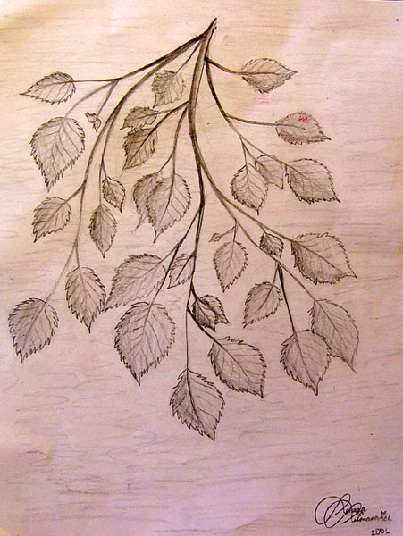 Sketches_3